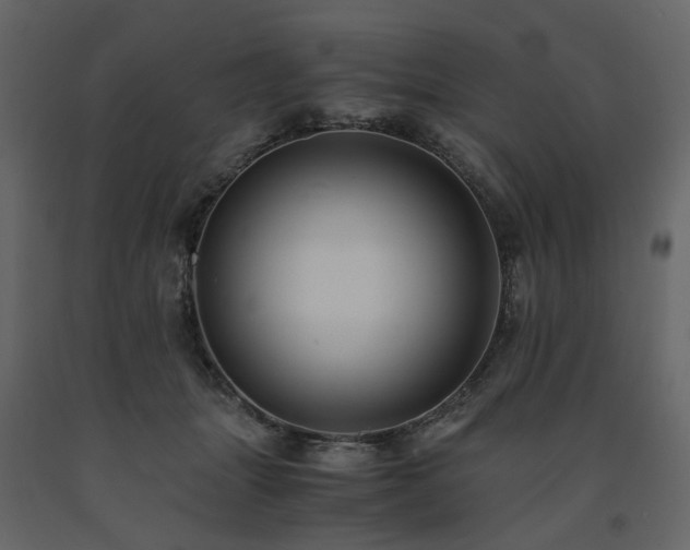X0000091540463200708241737