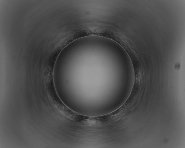 X0000091540464200708241737