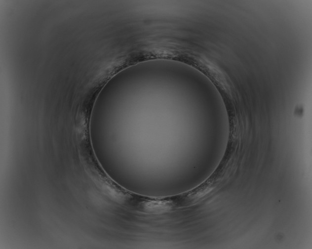X0000091540465200708241737