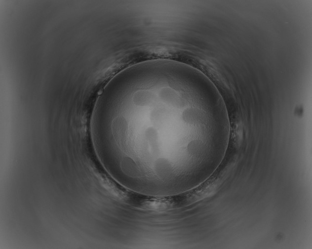 X0000091540466200708241737