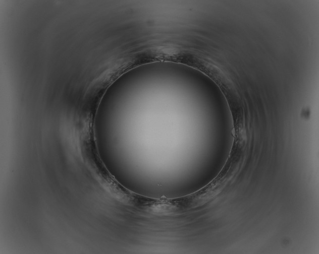X0000091540468200708241737