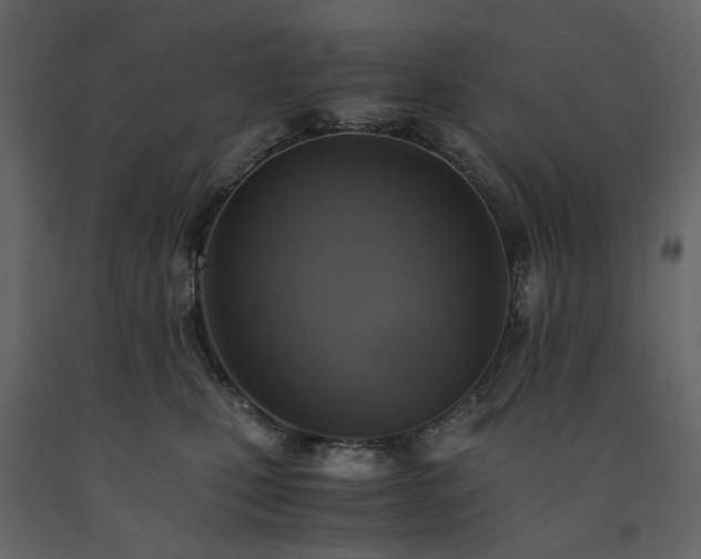 X0000091540471200708241737