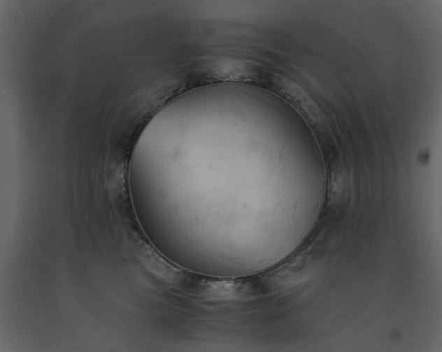 X0000091540473200708241737