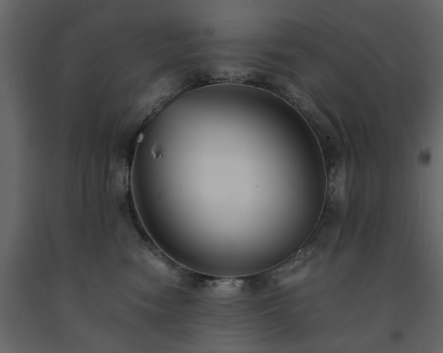 X0000091540474200708241737