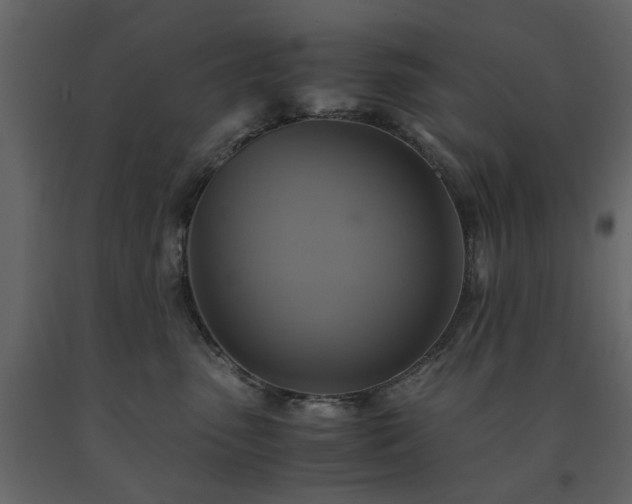 X0000091540475200708241737