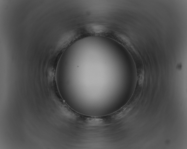 X0000091540476200708241737