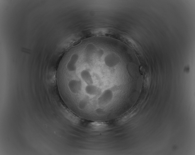 X0000091540477200708241737