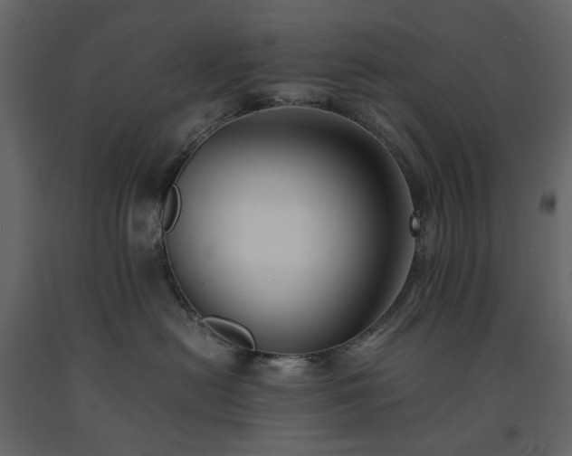 X0000091540478200708241737