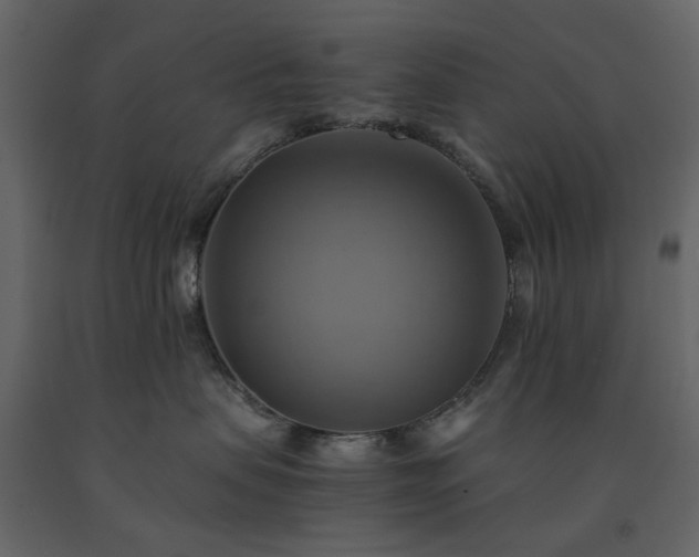 X0000091540479200708241738