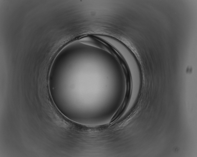 X0000091540481200708241737