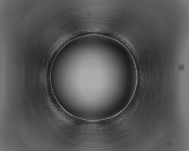 X0000091540482200708241737