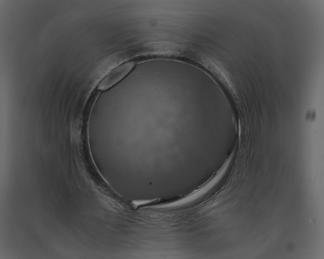 X0000091540483200708241737