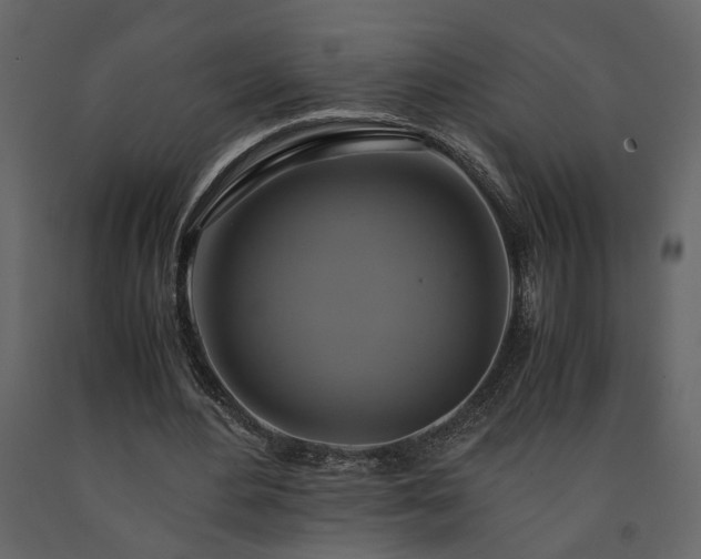 X0000091540484200708241737