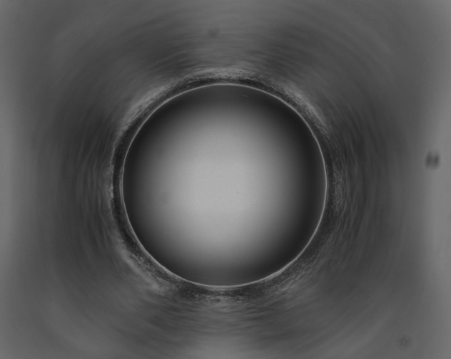 X0000091540486200708241737