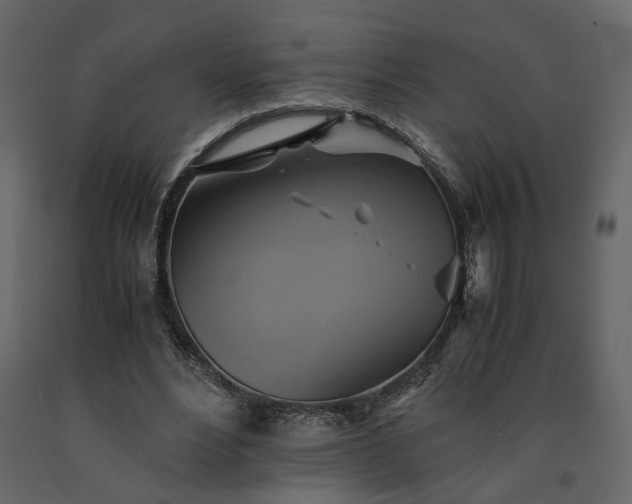 X0000091540488200708241737