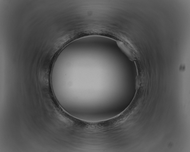 X0000091540489200708241737