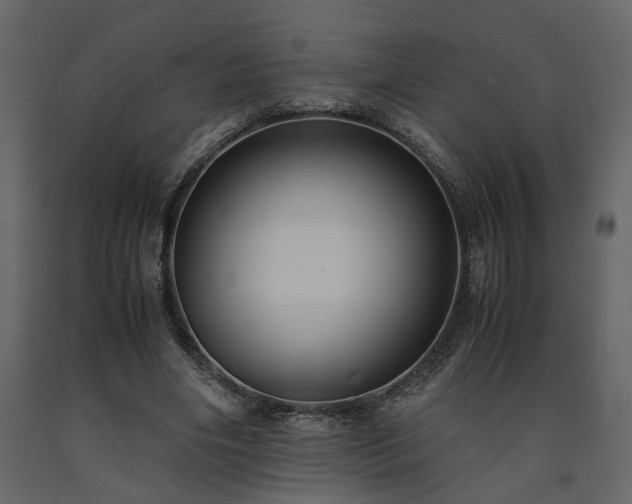 X0000091540490200708241737