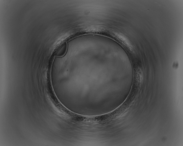 X0000091540491200708241737
