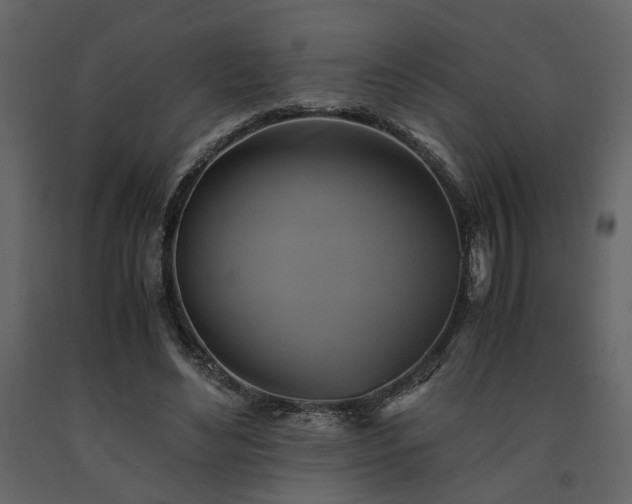 X0000091540492200708241737