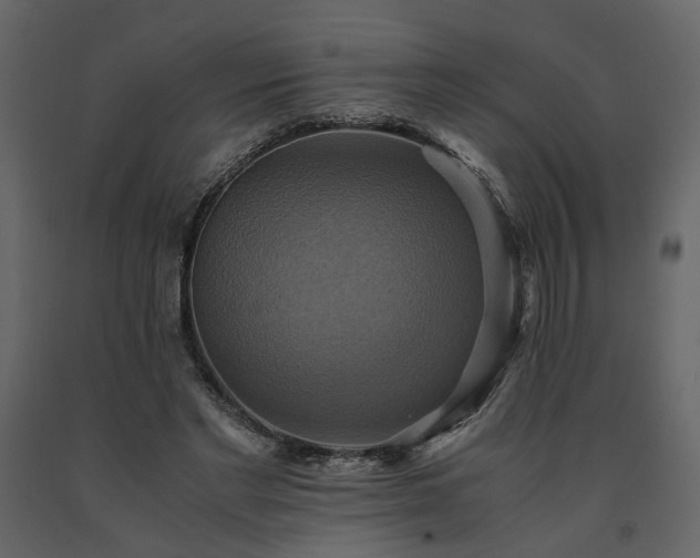 X0000091540493200708241737