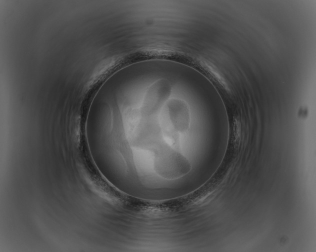 X0000091540494200708241737