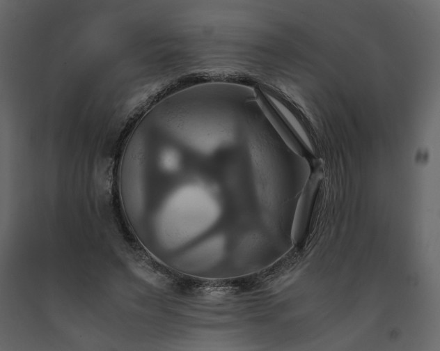 X0000091540495200708241737