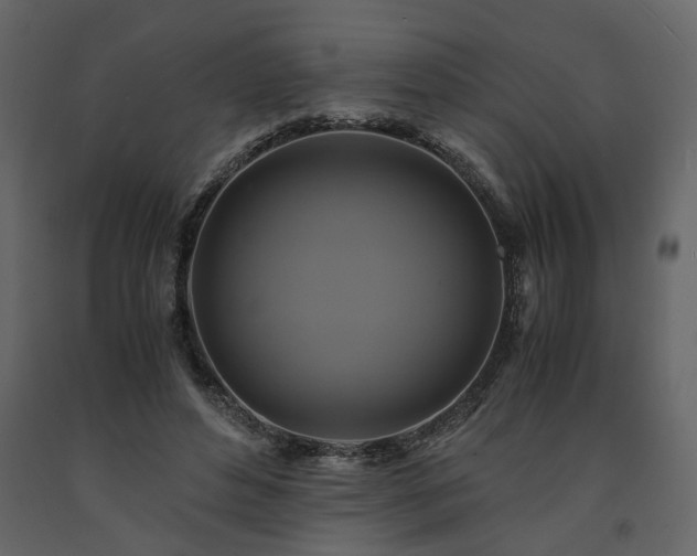 X0000091540496200708241737