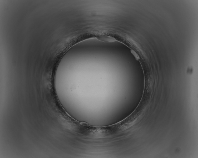X0000091540497200708241737