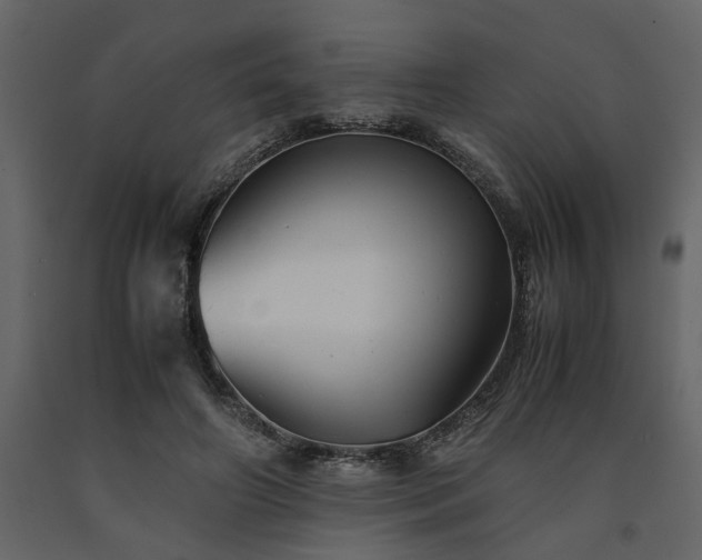 X0000091540498200708241737