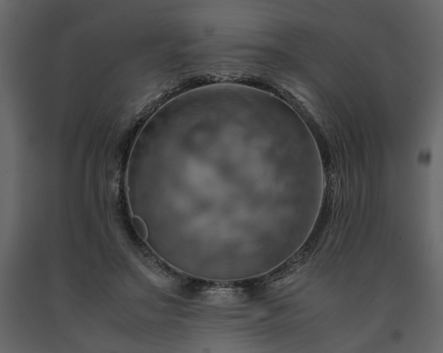 X0000091540499200708241737