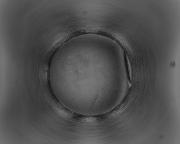 X0000091540501200708241737