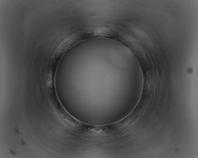 X0000091540502200708241737