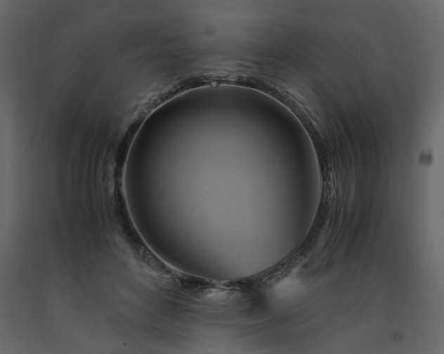 X0000091540504200708241737