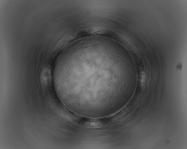X0000091540506200708241737