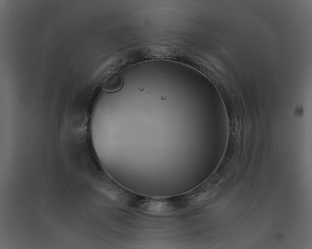 X0000091540507200708241737