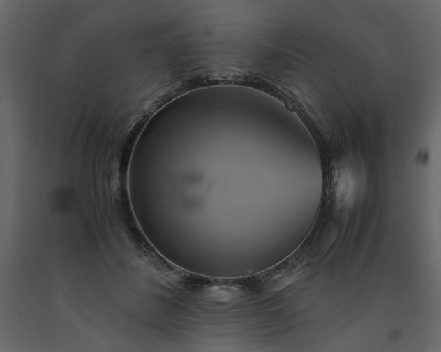 X0000091540508200708241737