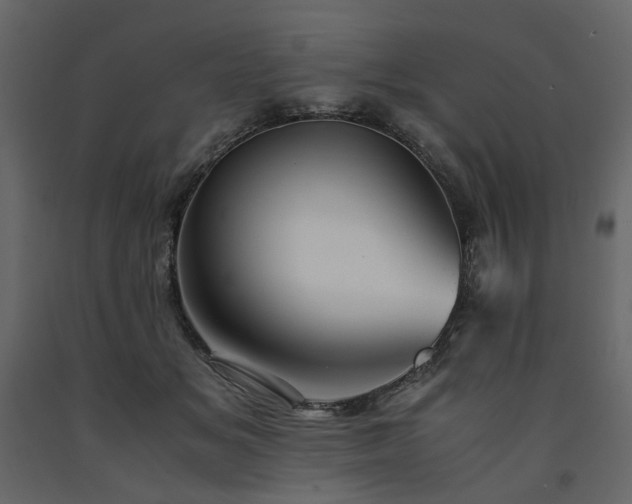 X0000091540509200708241737