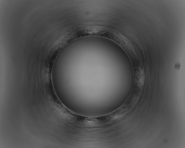 X0000091540510200708241737