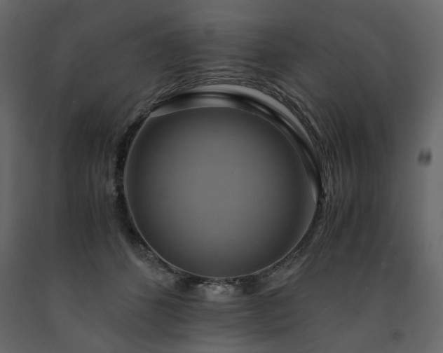 X0000091540512200708241737
