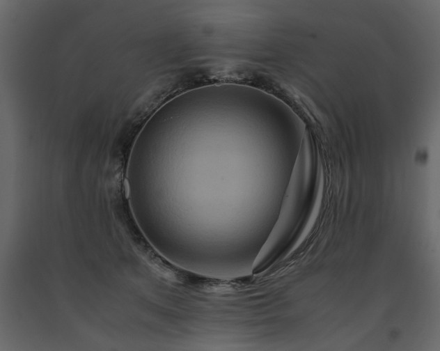 X0000091540513200708241737