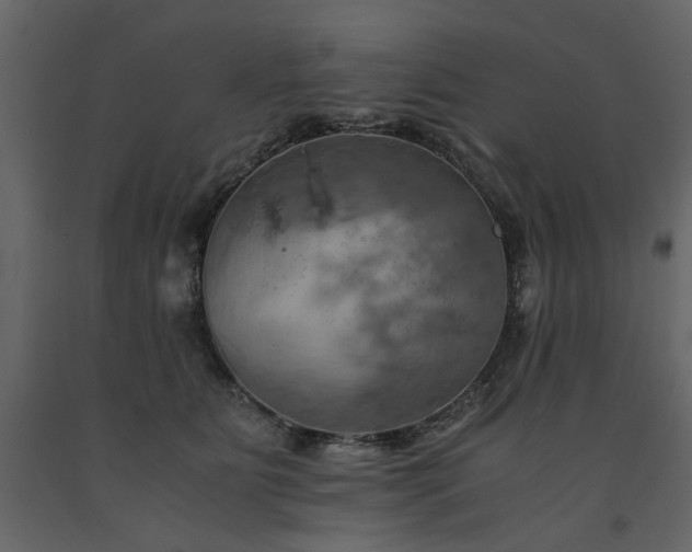 X0000091540515200708241736