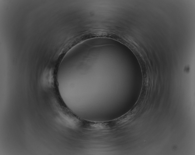 X0000091540516200708241736