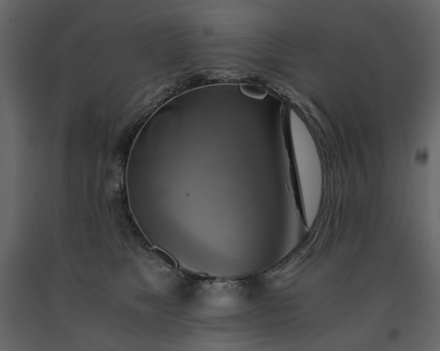 X0000091540517200708241736