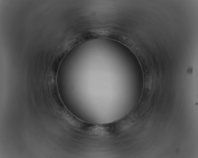 X0000091540518200708241736