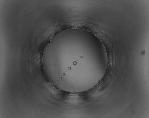 X0000091540519200708241736