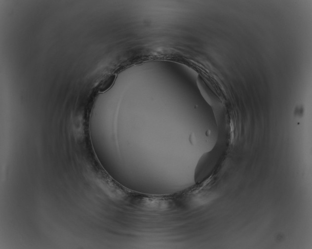 X0000091540520200708241736