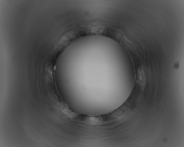 X0000091540522200708241736