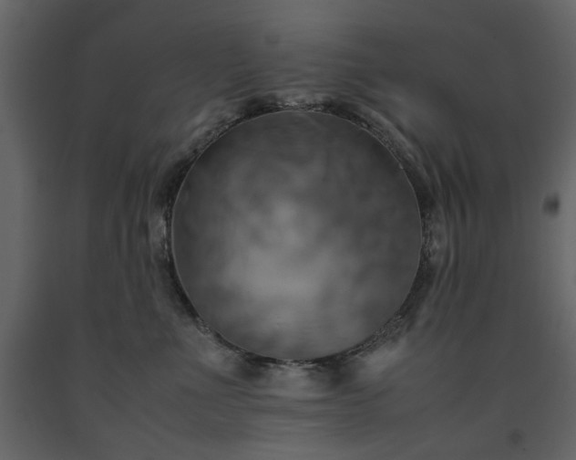 X0000091540523200708241736