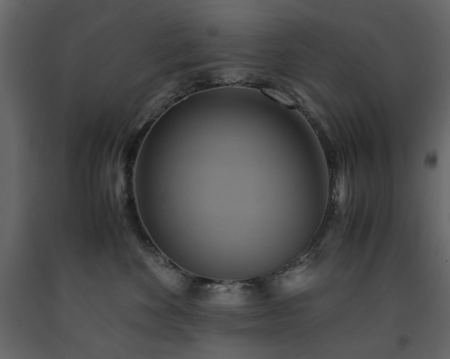 X0000091540524200708241736