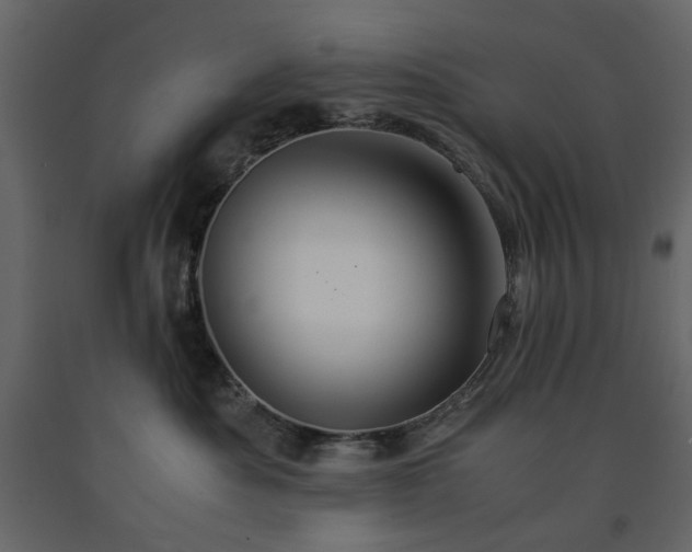 X0000091540525200708241736